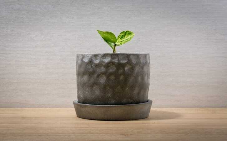 おしゃれな鉢カバー10選 深鉢や銀鉢の植木鉢カバー Diyのアイデアも紹介 おしゃれな鉢カバー10選 深鉢や銀鉢の植木鉢カバー Diyのアイデアも紹介