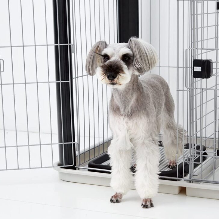 犬のケージおすすめ9選 おしゃれで激安なケージを紹介