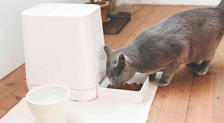 猫や犬 うさぎにおすすめの自動給餌器7選 ペットに自動でご飯をあげられる餌やり器の選び方