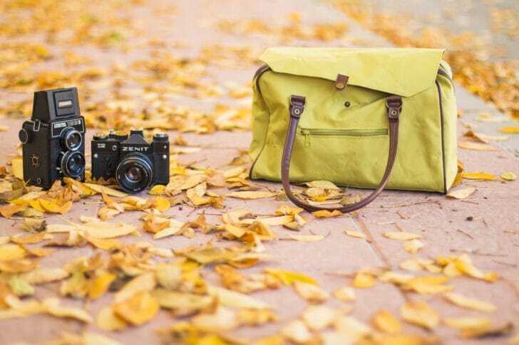 落ち葉とカメラとトートバッグの画像