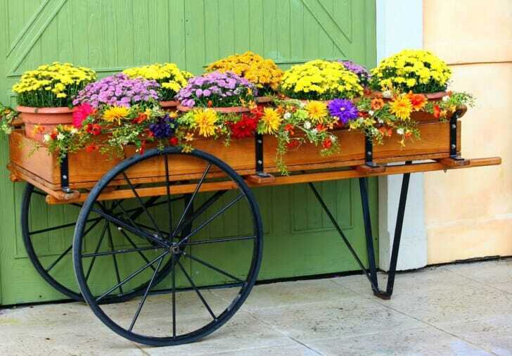 荷車のプランターに花が植えられている写真