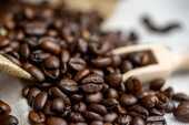 コーヒー豆とコーヒースプーンの写真