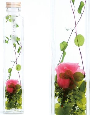 通販で人気のハーバリウムおすすめ9選 花の彩りがおしゃれ ガラス瓶の種類や寿命も解説