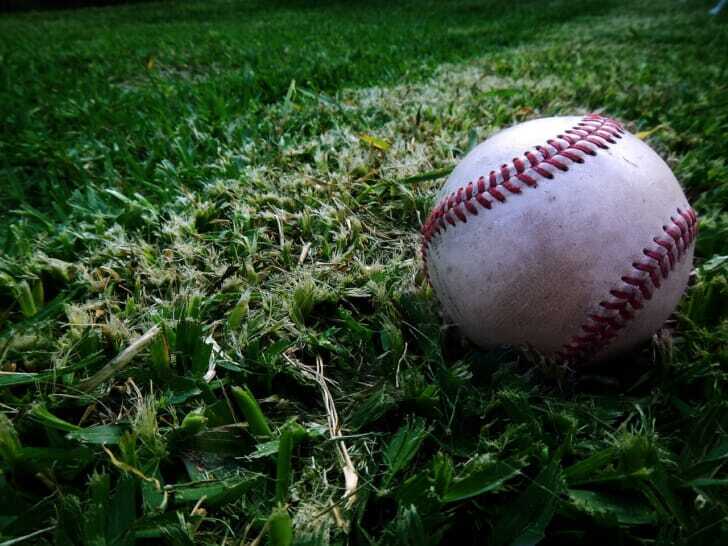 芝生の上に硬式の野球ボールが転がっている画像