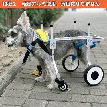 犬用車椅子おすすめ9選 自作の手作り車椅子の作り方やレンタル商品 価格も