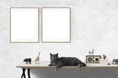 壁に色紙が貼ってあり、サイドテーブルの上に猫が寝そべっている画像