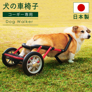 犬用車椅子おすすめ9選 自作の手作り車椅子の作り方やレンタル商品、価格も