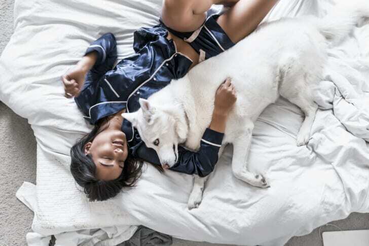 パジャマを着た女性と白い犬が寝ている写真