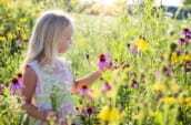 little girl, wildflowers, meadow