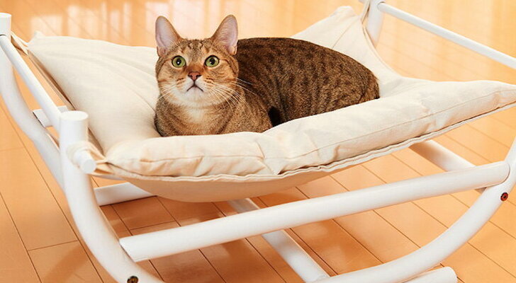 猫のハンモックおすすめ14選 フラワースタンドで手作りしたキャットハンモックも紹介