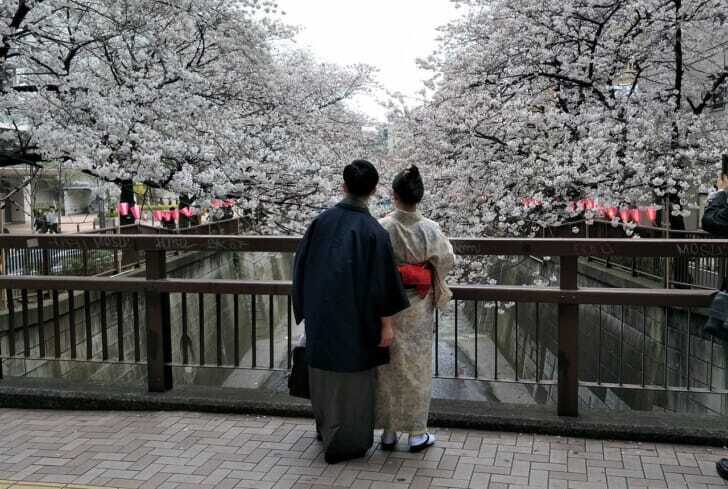 着物姿で桜を見る人の写真
