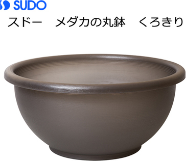 和風な雰囲気がおしゃれな陶器製金魚鉢おすすめ8選 メダカや水草も一緒に入る大型の睡蓮鉢も