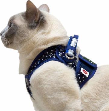 散歩や防災におすすめの猫用ハーネス10選 ダブルロックタイプのハーネスや付け方も紹介