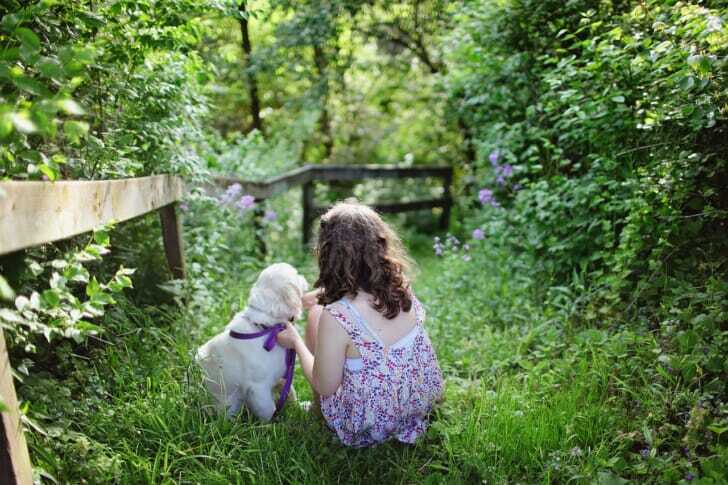 緑の中に佇む少女と犬の写真