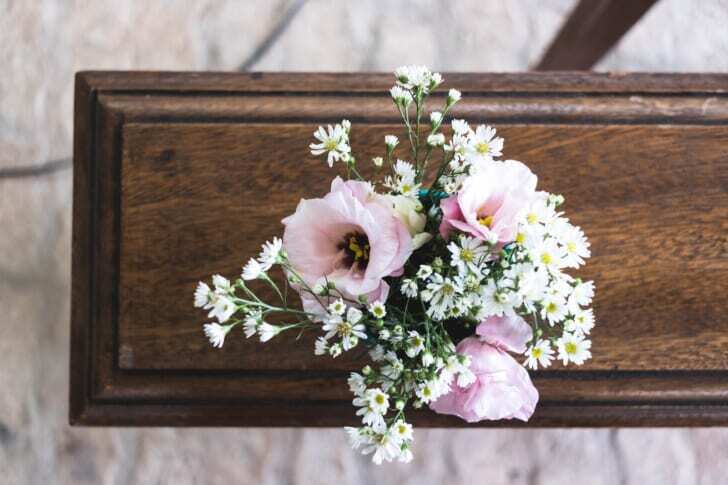 ピンクと白の花の写真