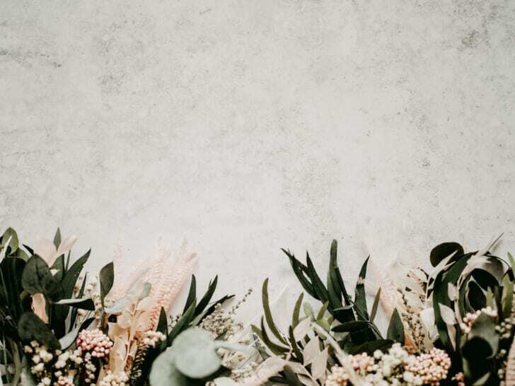 墓前に添えるような白い花の写真