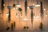 ライトや植物が天井から吊るされている写真