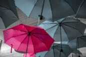 assorted umbrellas hanging on ceiling